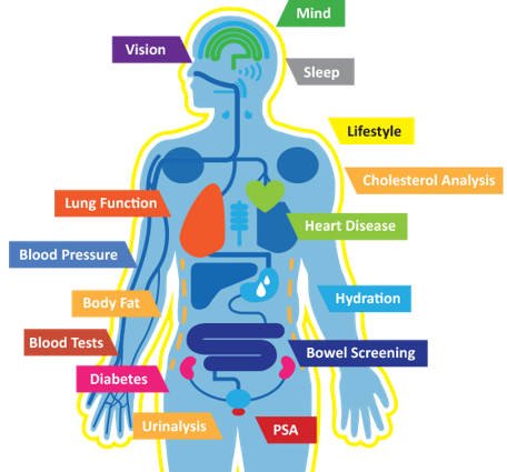 Body Balance