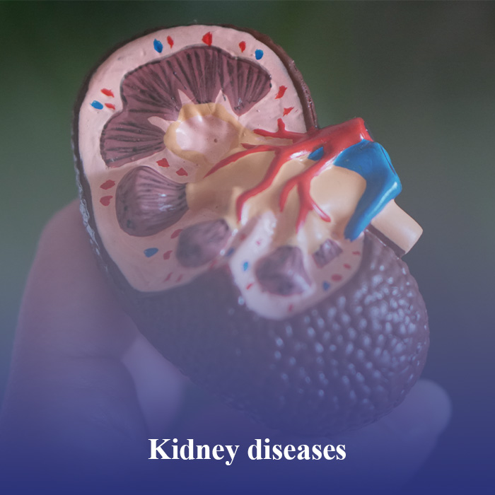 Kidney Diseases